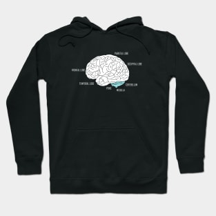 Human brain anatomic Hoodie